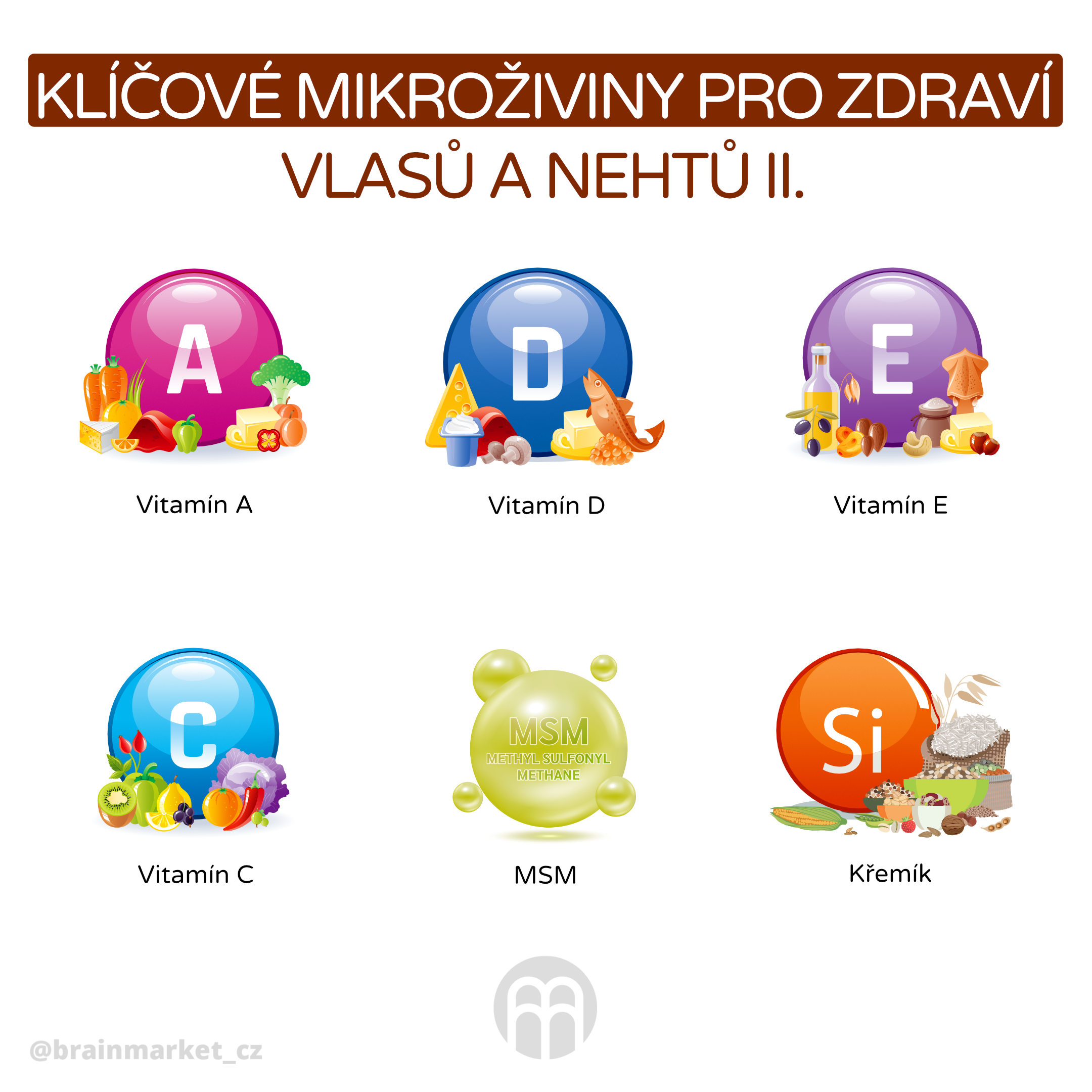 klicove ziviny pro vlasy II_infografika_cz